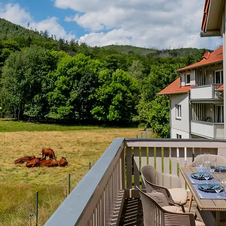 Appartement Harz Huus 