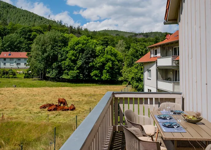 Apartmán Harz Huus 